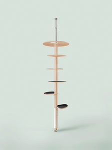 MYMIU, Design Kratzbaum, Katzenbaum, Katze, Katzenmöbel, Deckenspanner, Deckenhoch, gross, Echtholz, Vollholz, hochwertiger Luxus Katzenbaum, große Katzen, Maine Coons, Bengal Katzen, Cat, Cattree, Made in Germany, Katze kratzt, Ginkgo, Natur
